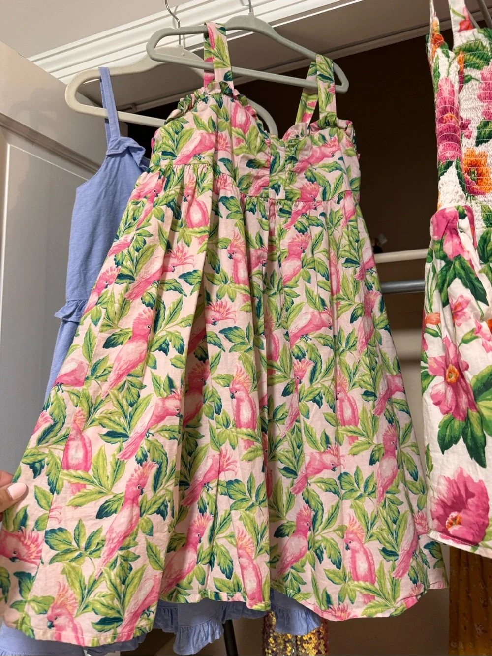 Janie and Jack Dresses size 8